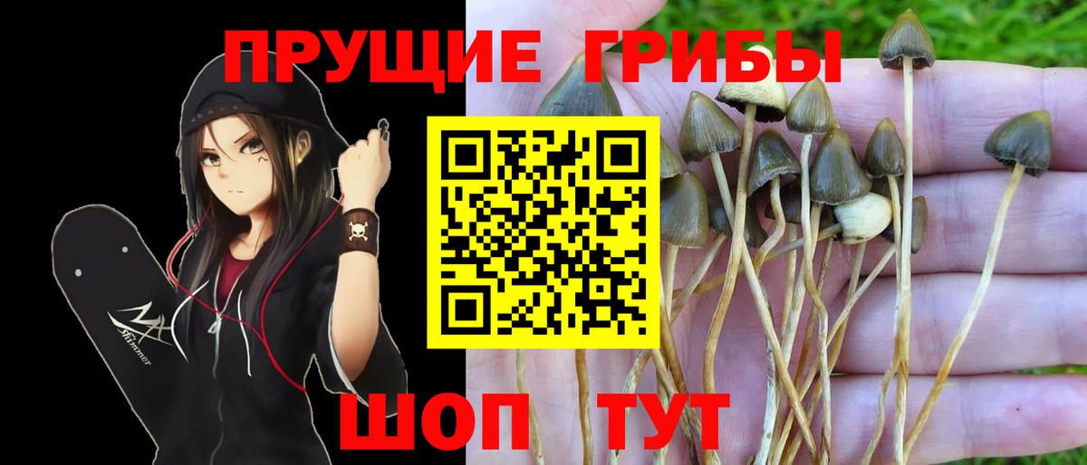 Галлюциногенные грибы мухоморы Богородск