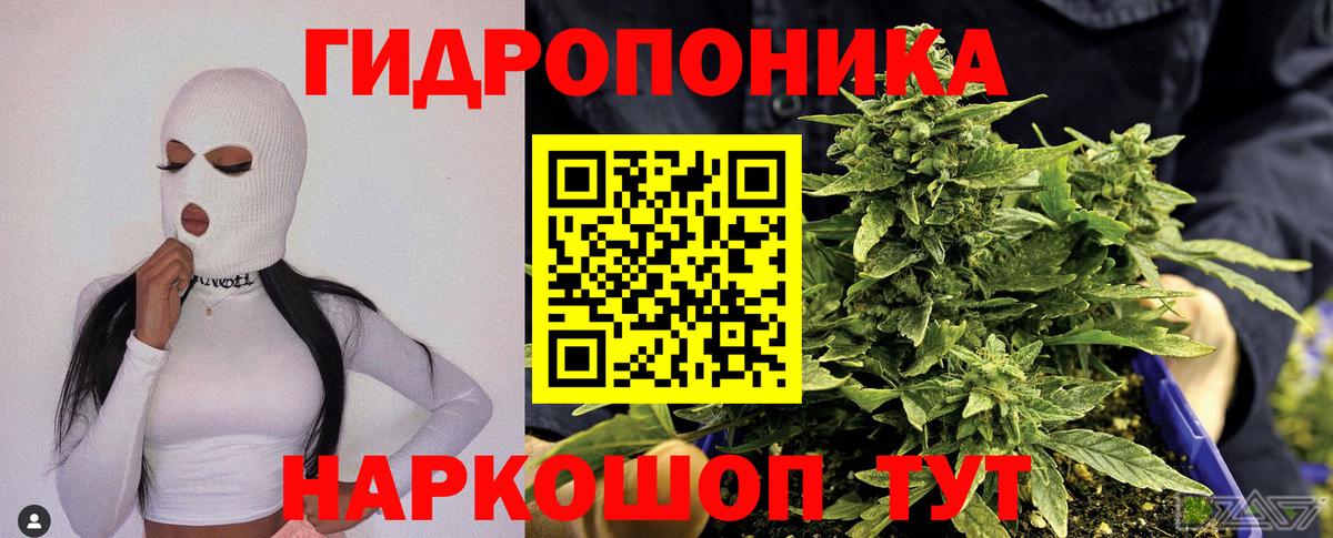 Бошки Шишки семена  Конопля гибрид  Богородск  Вход с VPN  Канабис White Widow  Канабис индика 